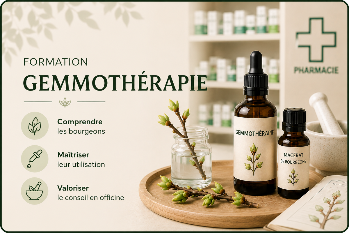 GEMMOTHERAPIE
